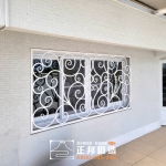 C9D-1055 防盜窗噴漆白色  (3)