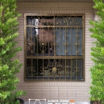 C9D-1070 五股防盜窗安裝 (3)