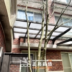 C9G-1004(3mm透明pc顆粒)(古典褐) 瑞芳安裝案例 (2)